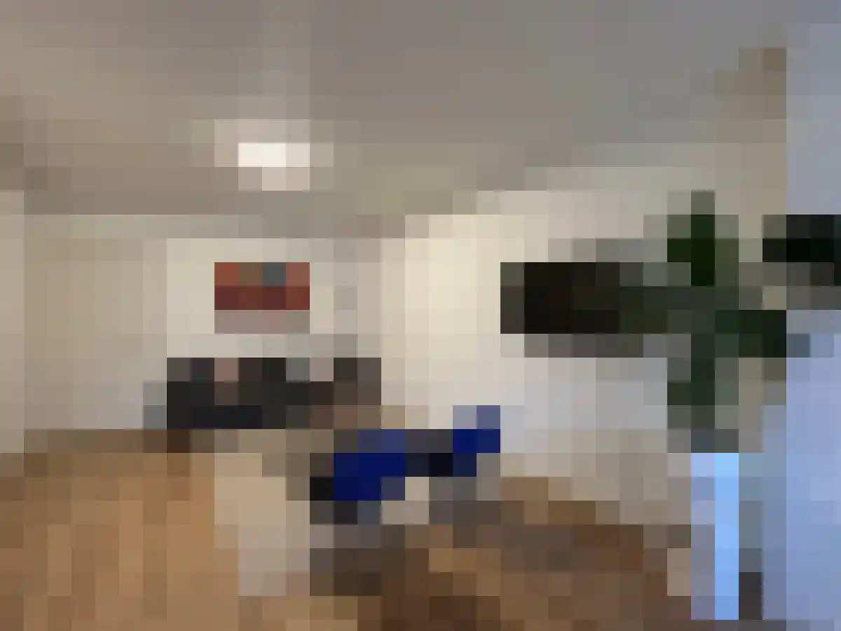 Karel du Jardinstraat 5 3 Amsterdam thumbnail 5