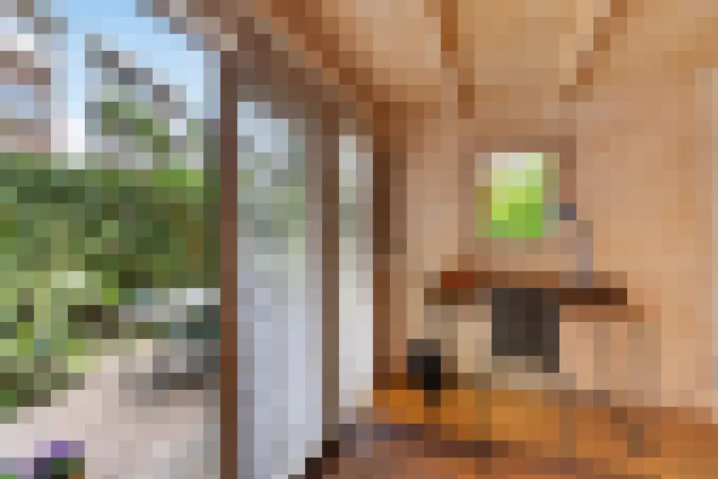 Karel du Jardinstraat 6 2 Amsterdam thumbnail 10