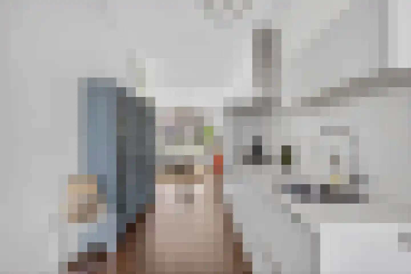 Karel du Jardinstraat 6 2 Amsterdam thumbnail 14