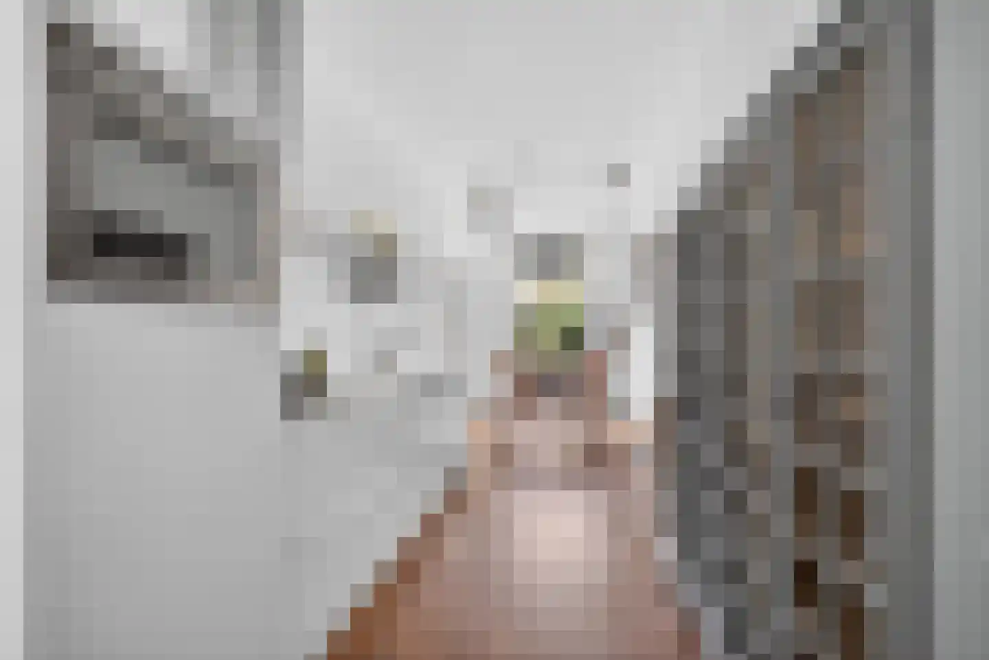 Karel du Jardinstraat 6 2 Amsterdam thumbnail 15