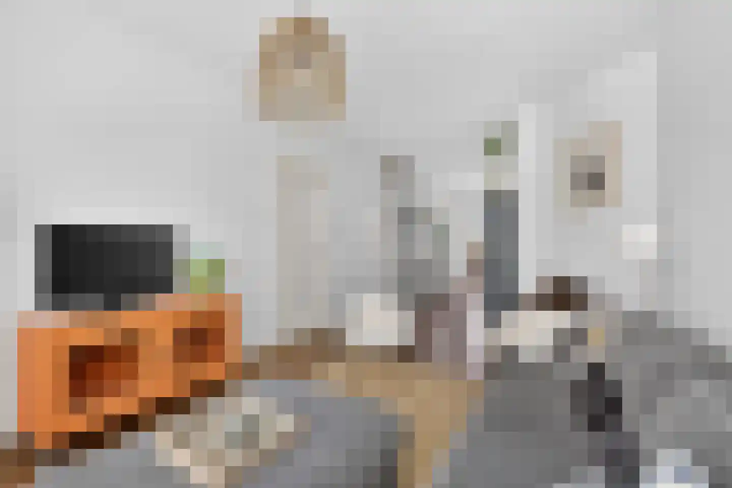 Karel du Jardinstraat 6 2 Amsterdam thumbnail 5