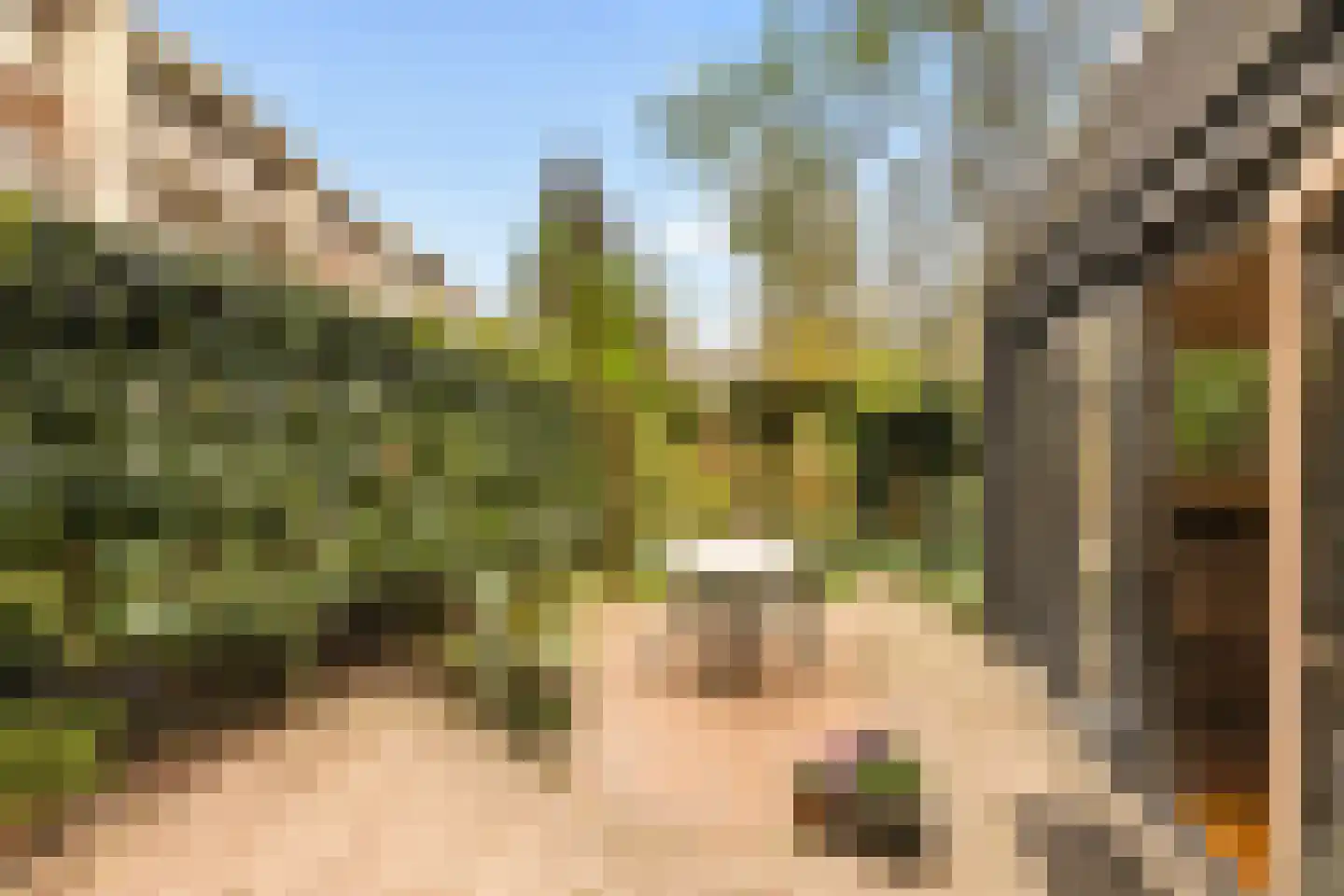 Karel du Jardinstraat 6 2 Amsterdam thumbnail 7
