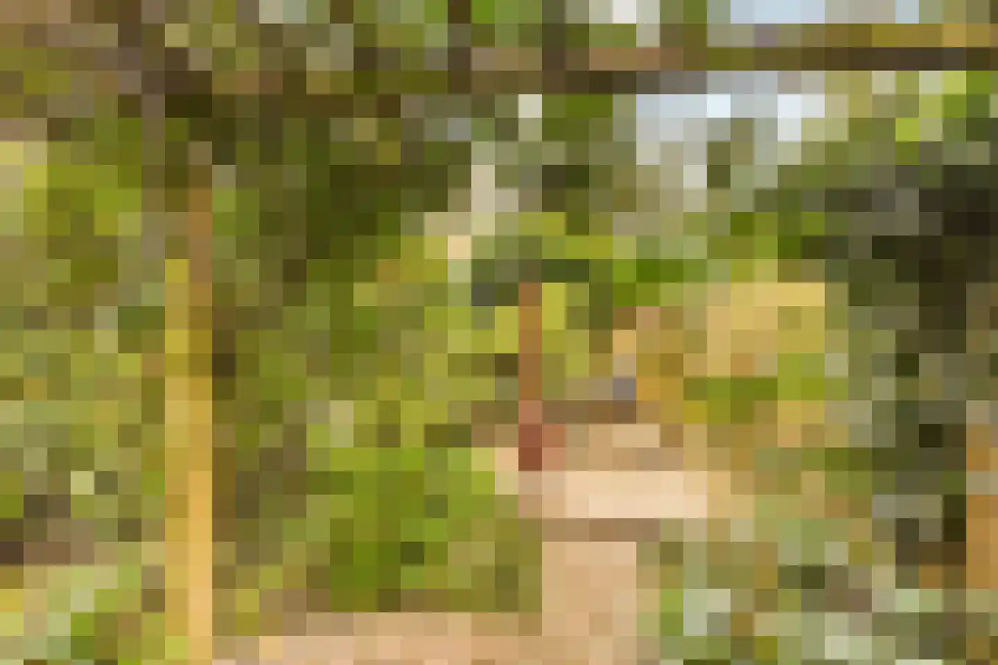Karel du Jardinstraat 6 2 Amsterdam thumbnail 9