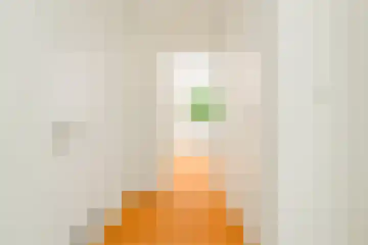 Karel du Jardinstraat 62 2 Amsterdam thumbnail 19