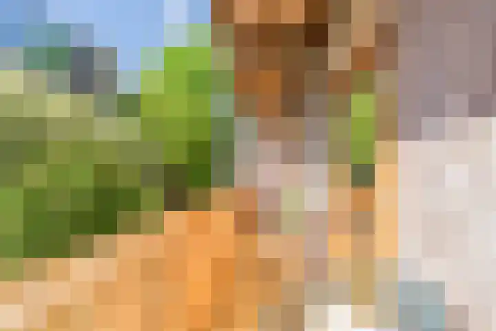 Karel du Jardinstraat 62 2 Amsterdam thumbnail 21