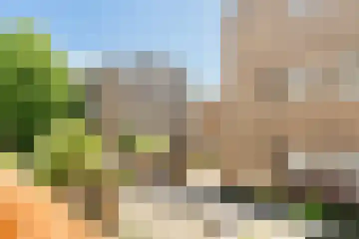 Karel du Jardinstraat 62 2 Amsterdam thumbnail 22