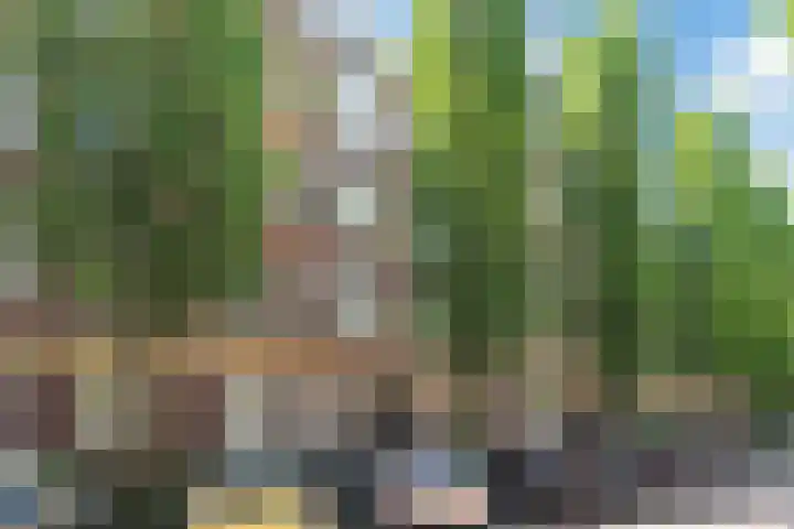 Karel du Jardinstraat 62 2 Amsterdam thumbnail 23