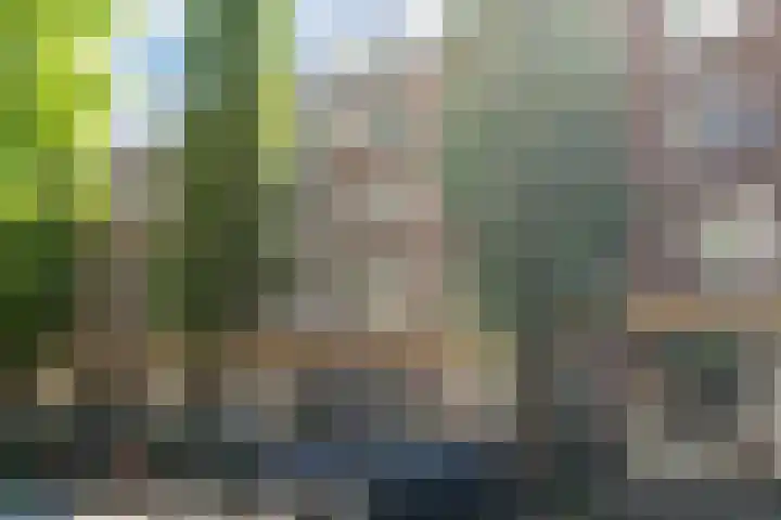 Karel du Jardinstraat 62 2 Amsterdam thumbnail 24