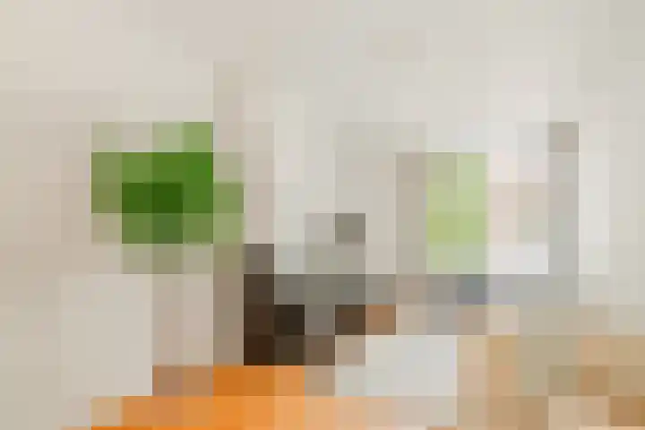 Karel du Jardinstraat 62 2 Amsterdam thumbnail 6