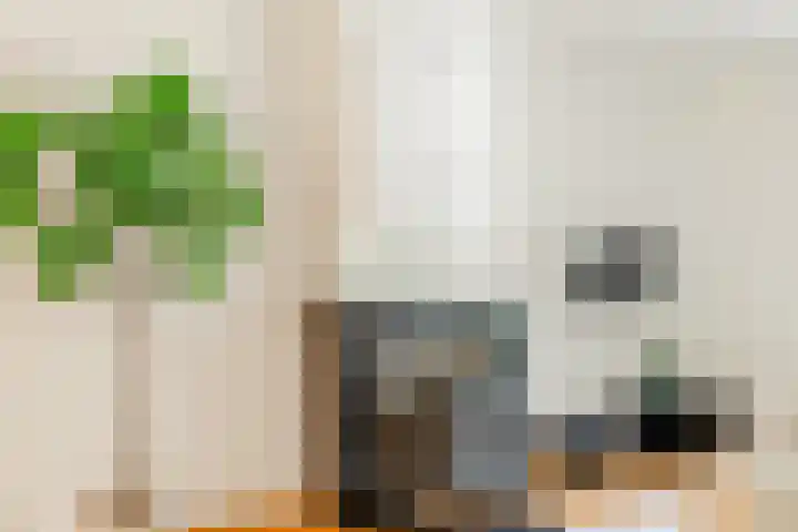 Karel du Jardinstraat 62 2 Amsterdam thumbnail 7
