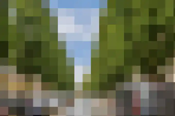 Karel du Jardinstraat 62 A H Amsterdam thumbnail 26