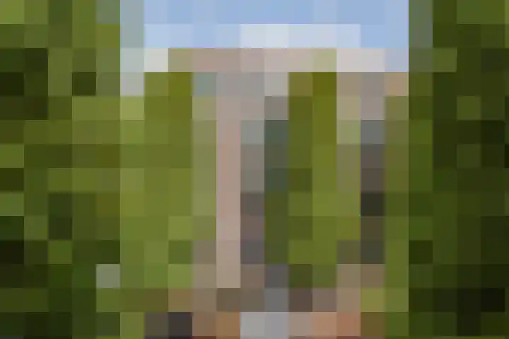 Karel du Jardinstraat 62 A H Amsterdam thumbnail 30