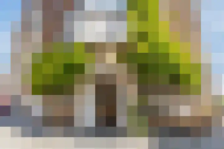 Karel du Jardinstraat 62 A H Amsterdam thumbnail 32