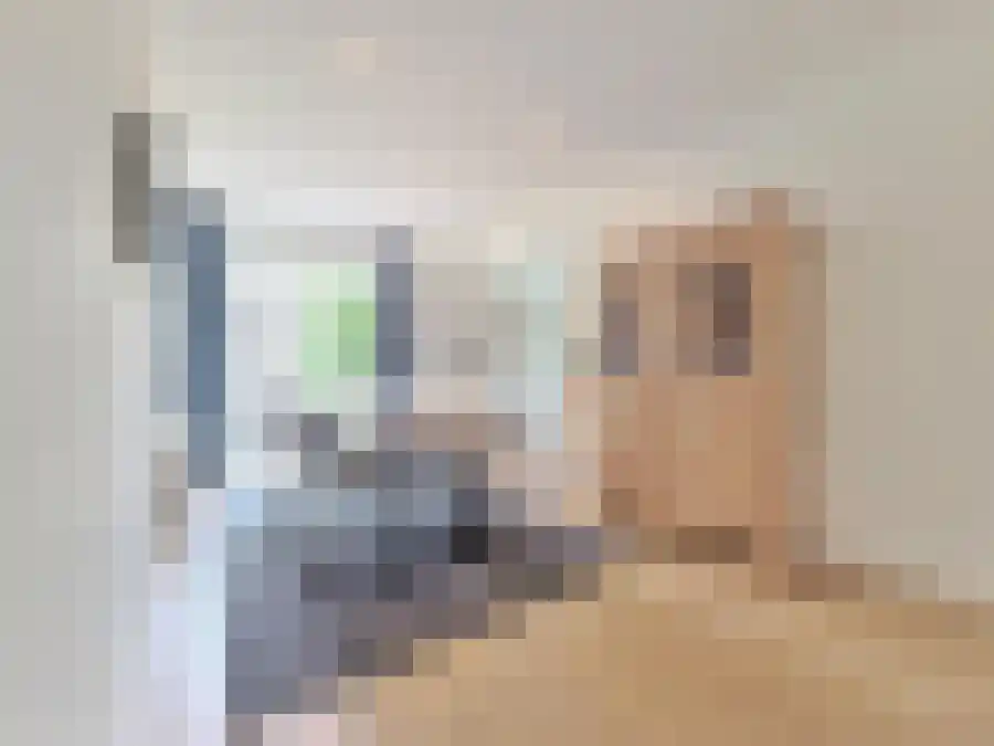 Karel du Jardinstraat 68 Amsterdam thumbnail 10