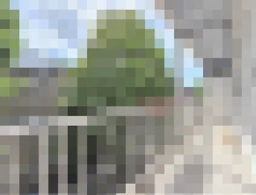 Karel du Jardinstraat 68 Amsterdam thumbnail 11