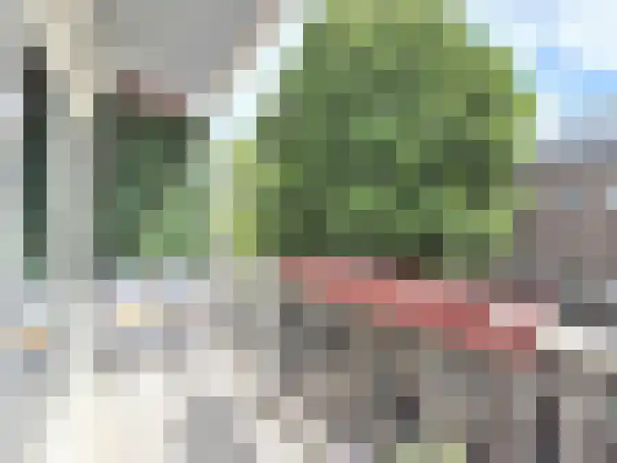 Karel du Jardinstraat 68 Amsterdam thumbnail 12