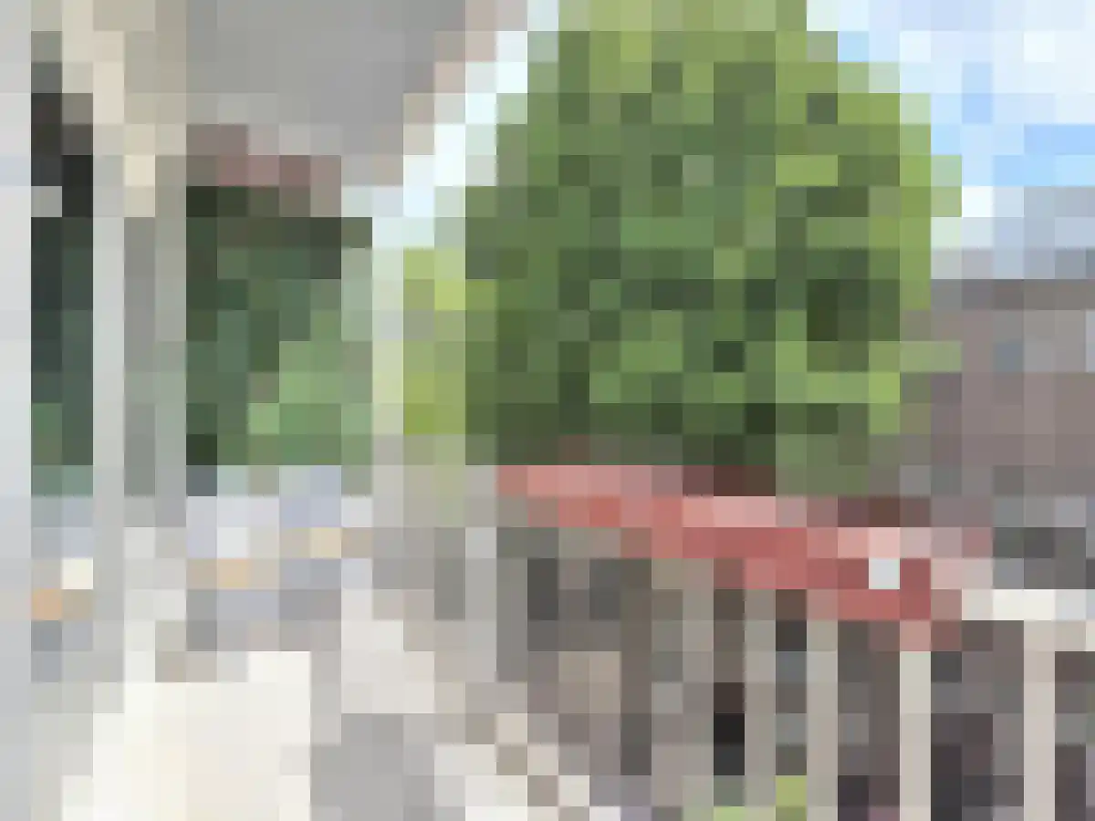 Karel du Jardinstraat 68 Amsterdam thumbnail 6