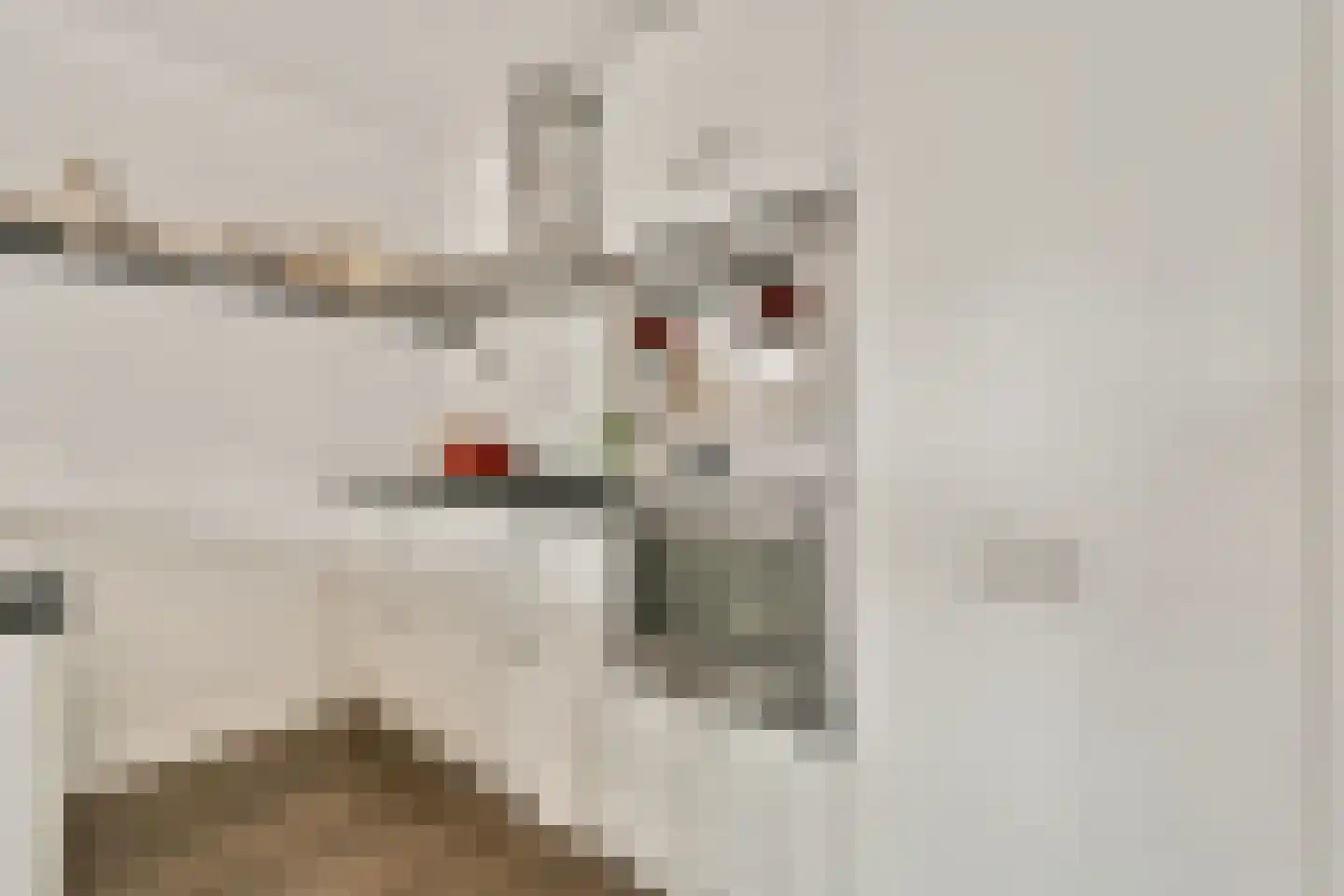 Karel du Jardinstraat 82 2 Amsterdam thumbnail 11