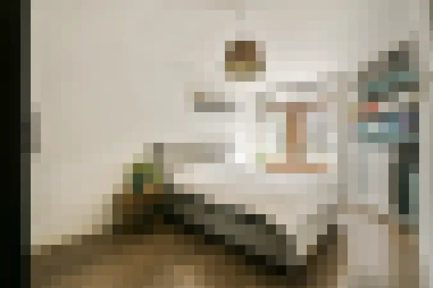 Karel du Jardinstraat 82 2 Amsterdam thumbnail 19