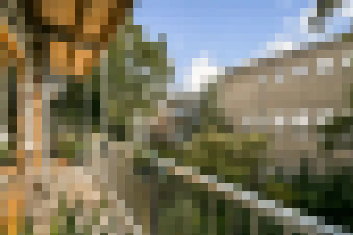 Karel du Jardinstraat 82 2 Amsterdam thumbnail 24