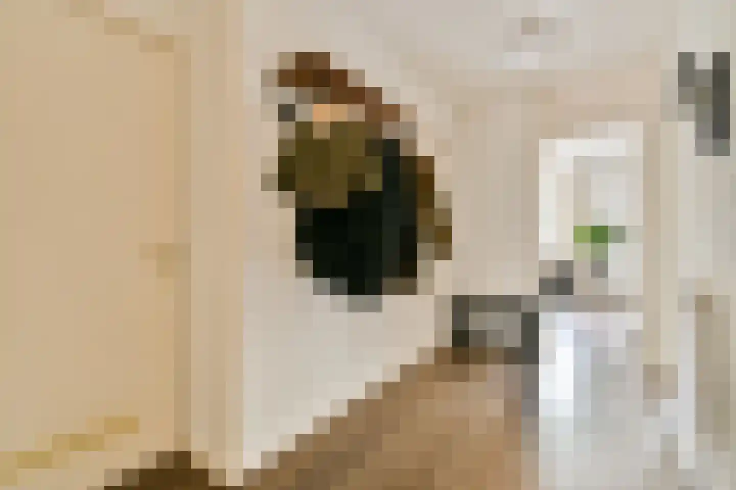 Karel du Jardinstraat 82 2 Amsterdam thumbnail 7
