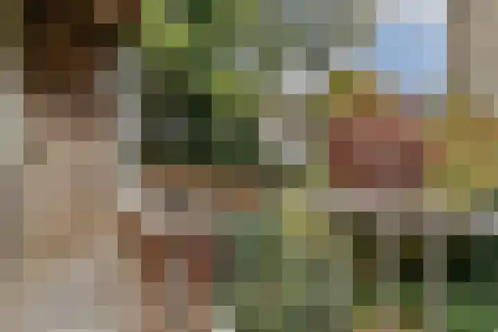 Karel du Jardinstraat 84 2 Amsterdam thumbnail 11