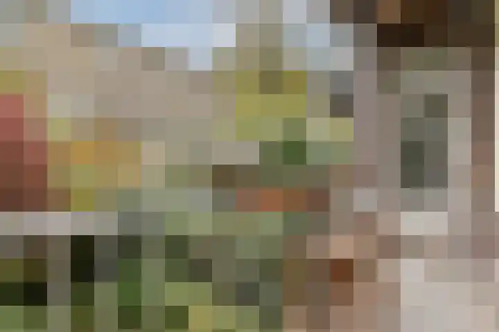 Karel du Jardinstraat 84 2 Amsterdam thumbnail 12