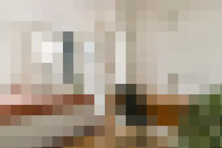 Karel du Jardinstraat 84 2 Amsterdam thumbnail 19