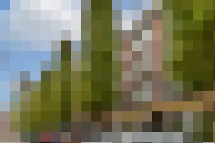 Karel du Jardinstraat 84 2 Amsterdam thumbnail 22