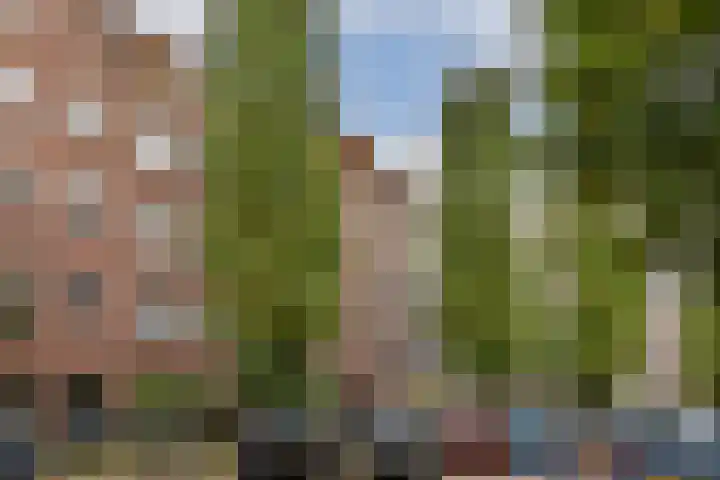 Karel du Jardinstraat 84 2 Amsterdam thumbnail 23