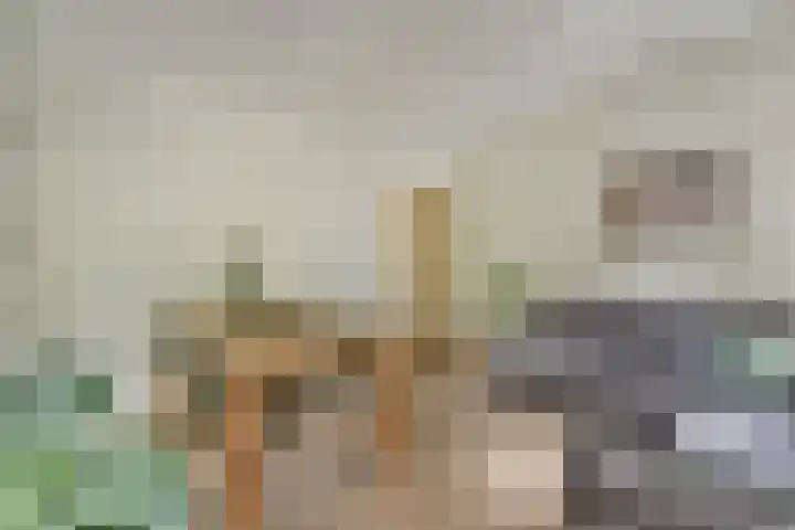Karel du Jardinstraat 84 2 Amsterdam thumbnail 6