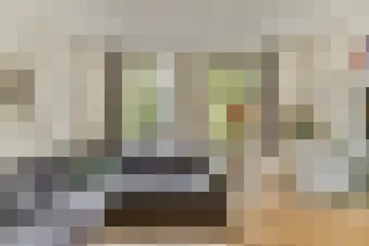 Karel du Jardinstraat 84 2 Amsterdam thumbnail 7