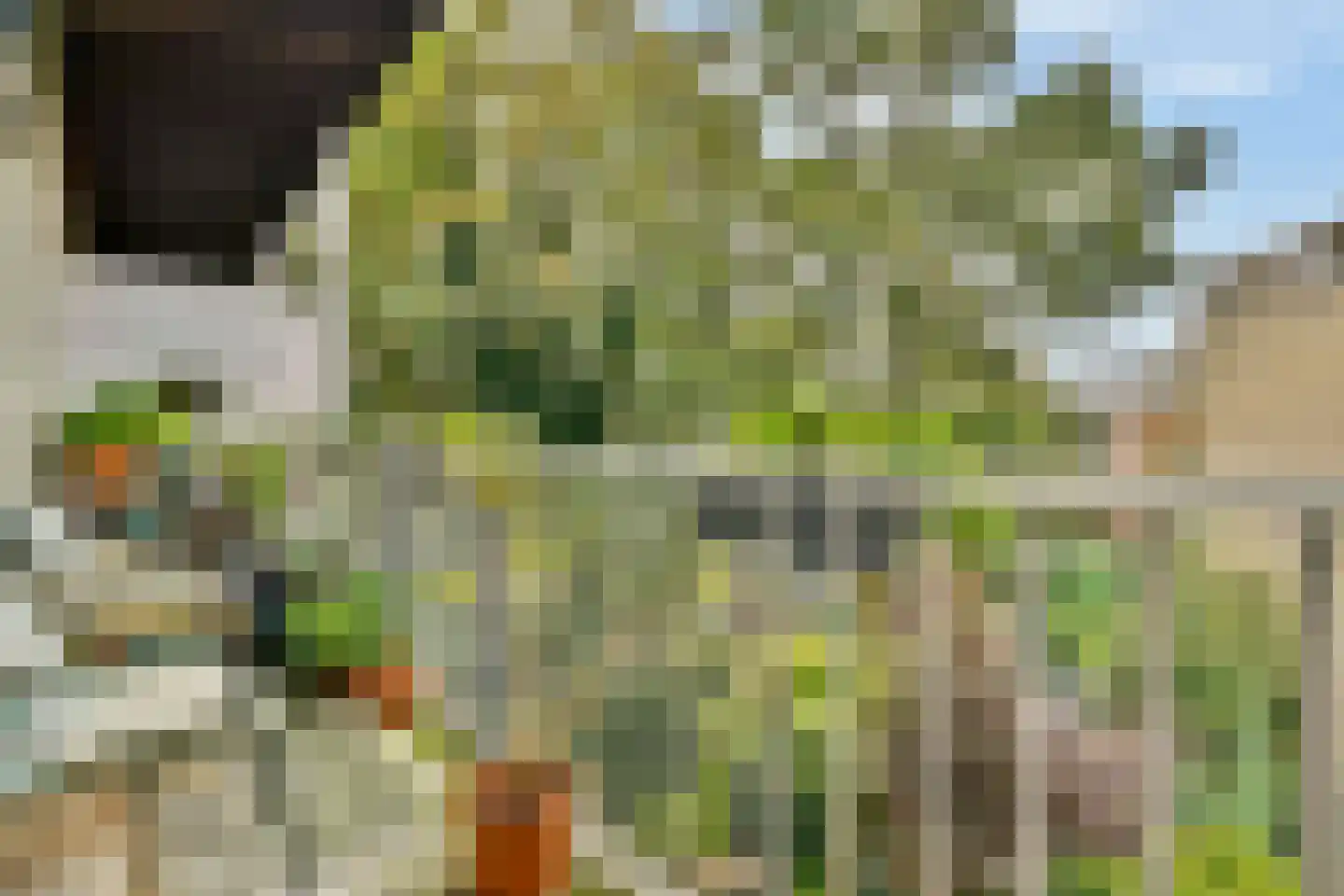 Karel du Jardinstraat 84 3 Amsterdam thumbnail 10