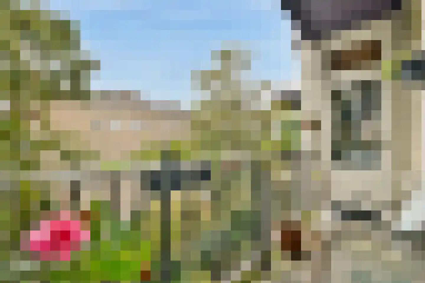 Karel du Jardinstraat 84 3 Amsterdam thumbnail 11