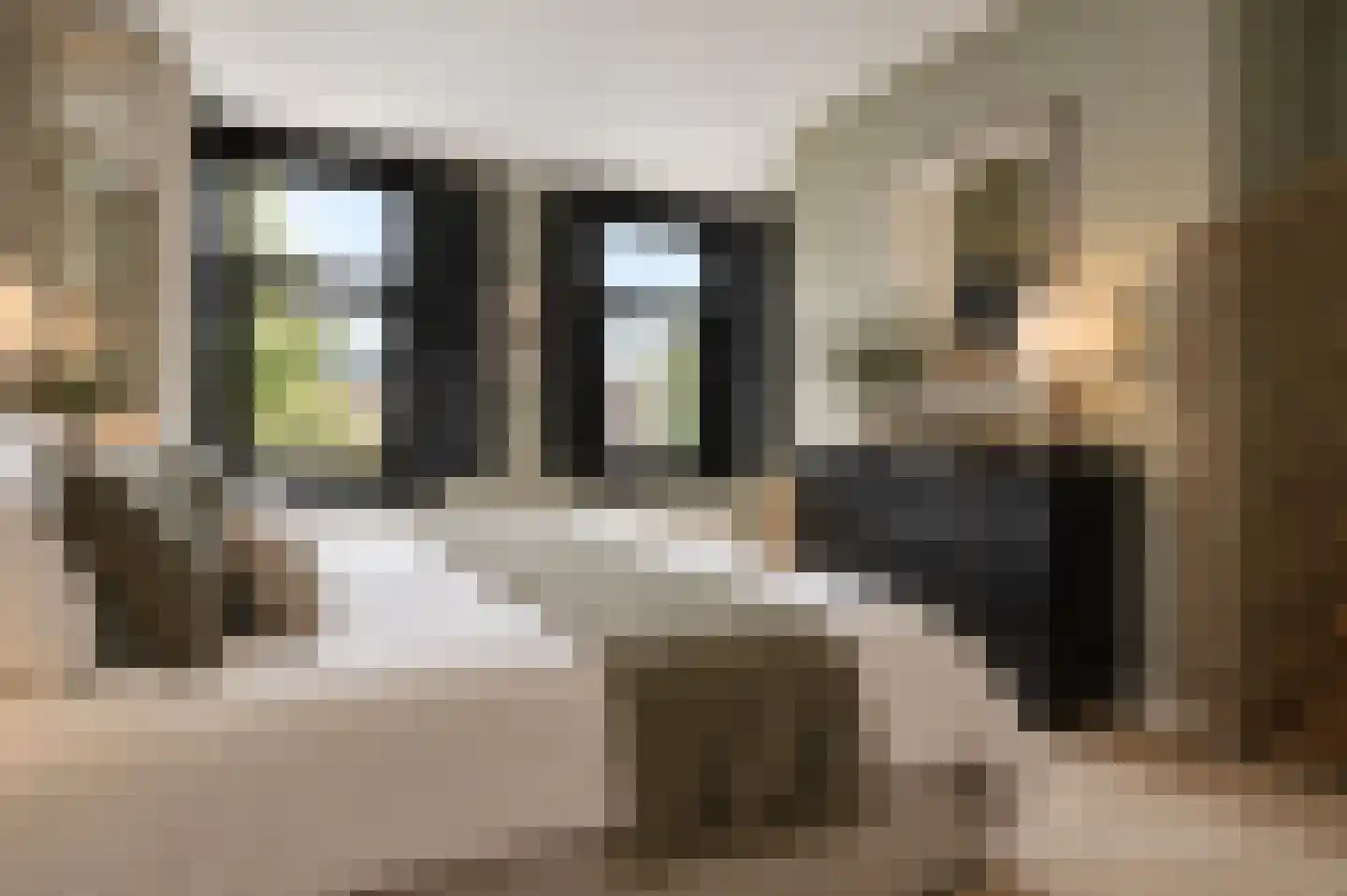 Karel du Jardinstraat 84 3 Amsterdam thumbnail 15
