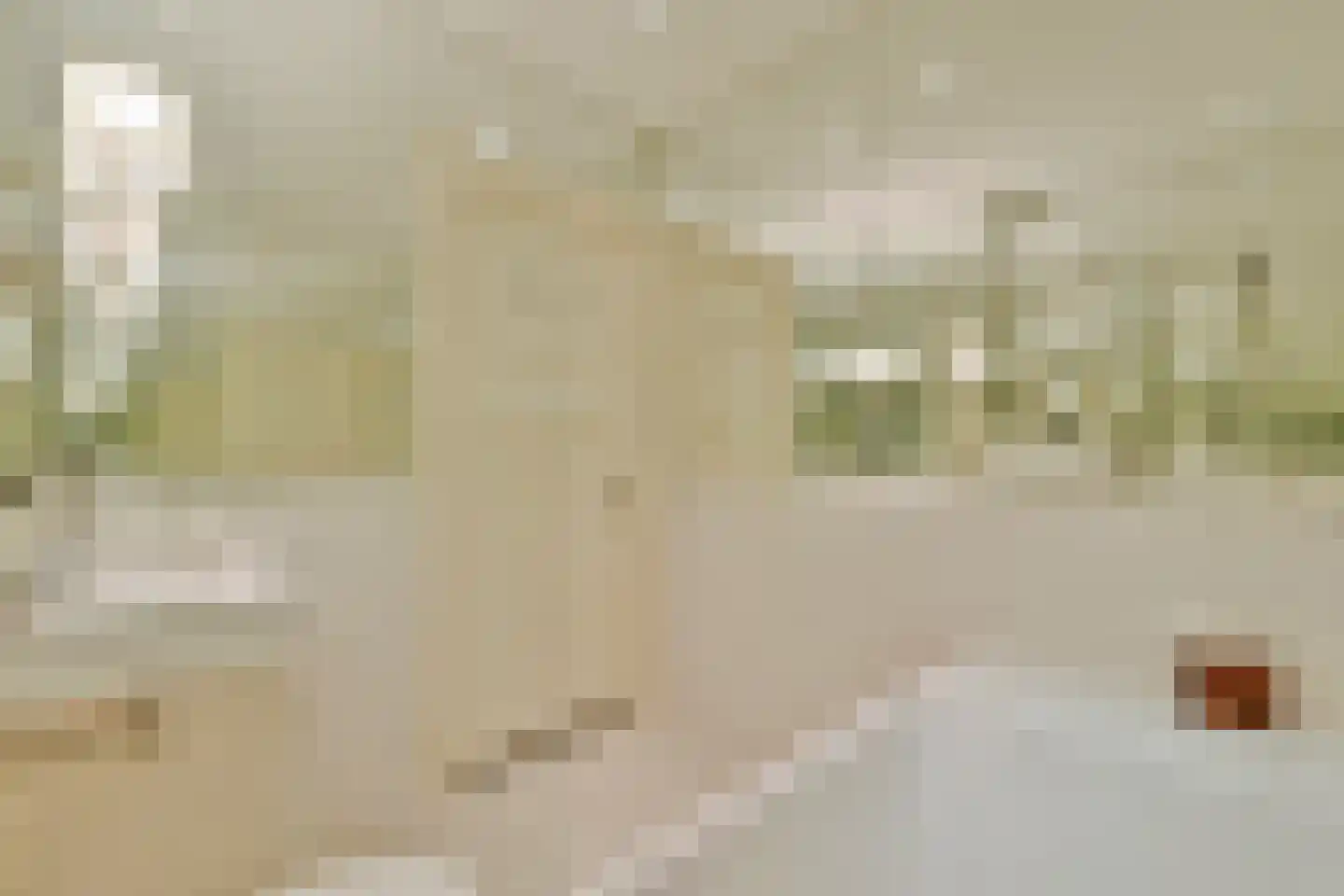 Karel du Jardinstraat 84 3 Amsterdam thumbnail 20