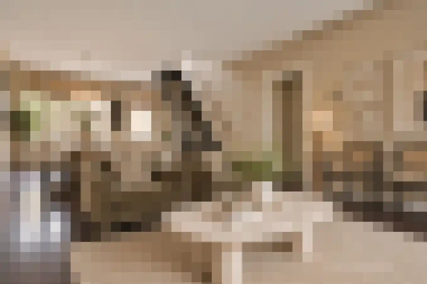 Karel du Jardinstraat 84 3 Amsterdam thumbnail 6