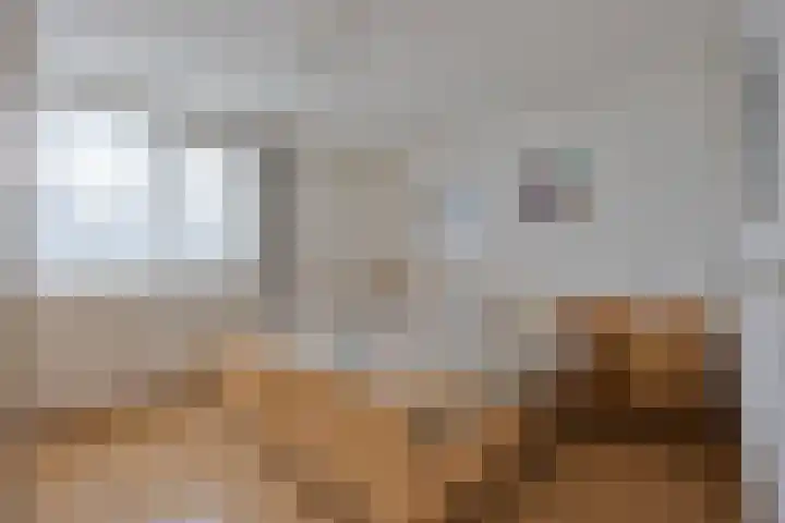Karel Ensinckstraat 5 Rosmalen thumbnail 20