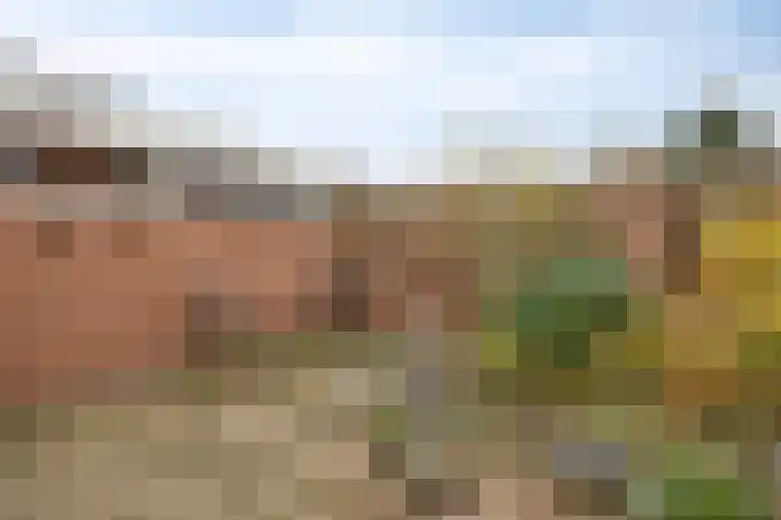 Karel Ensinckstraat 5 Rosmalen thumbnail 30