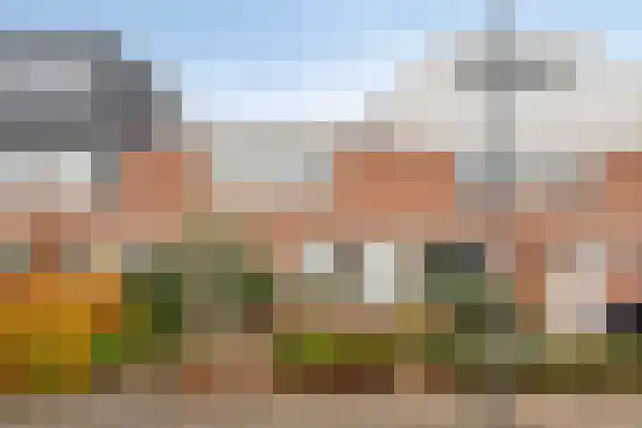 Karel Ensinckstraat 5 Rosmalen thumbnail 34