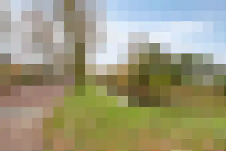 Karel Ensinckstraat 5 Rosmalen thumbnail 36