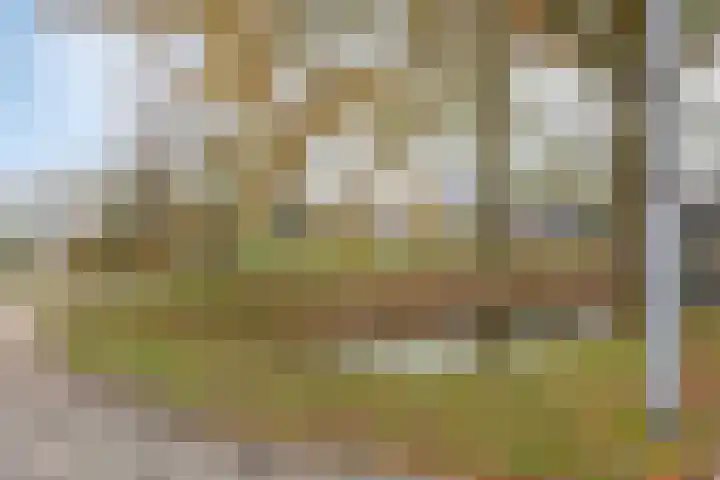 Karel Ensinckstraat 5 Rosmalen thumbnail 38