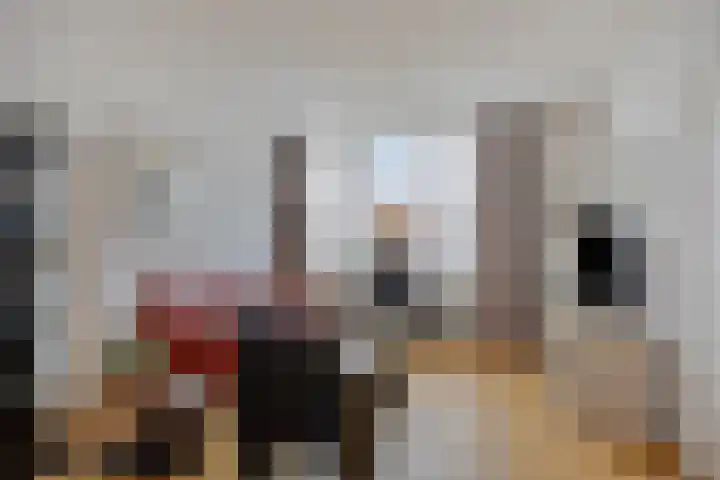 Karel Ensinckstraat 5 Rosmalen thumbnail 9