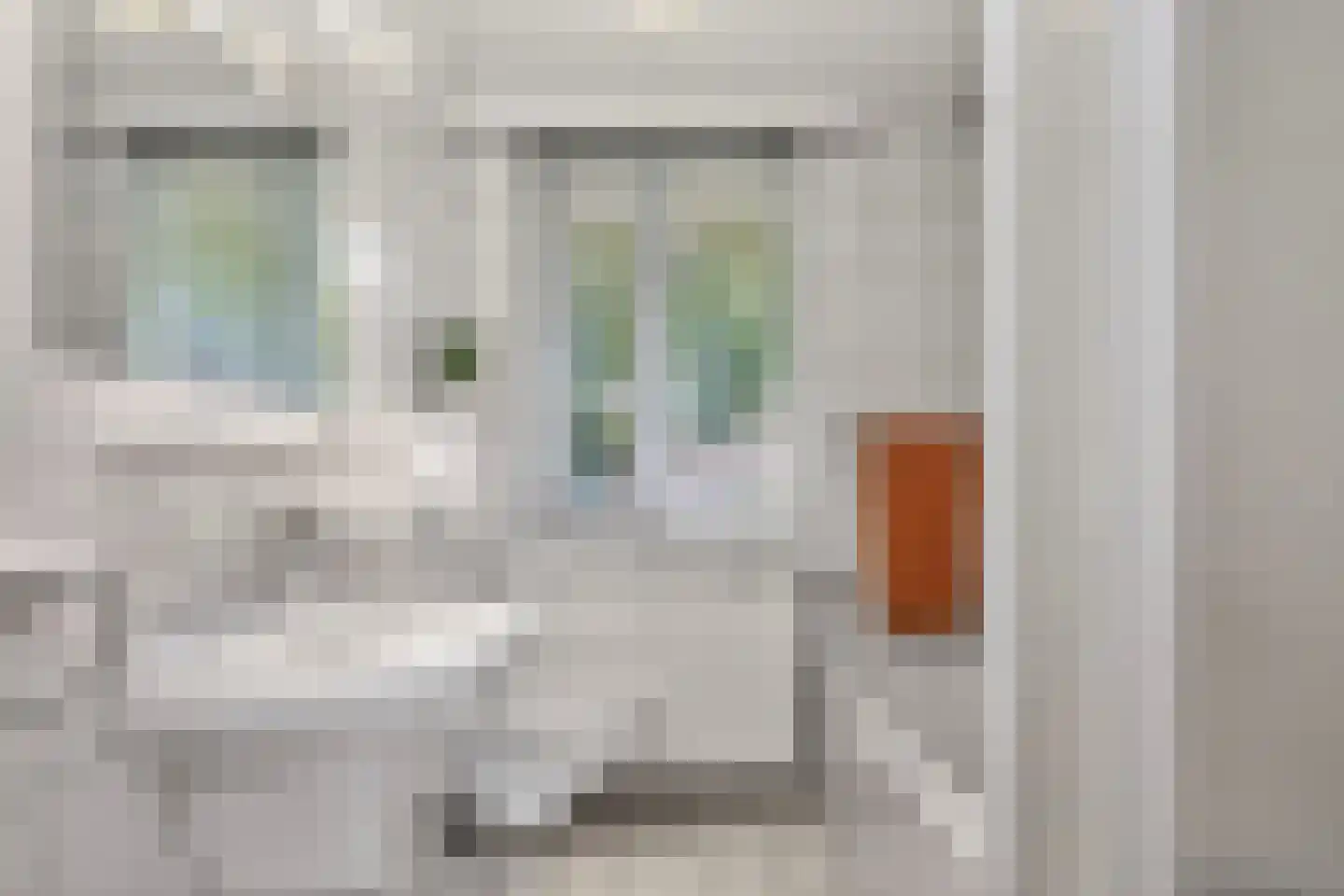 Karel Gerardstraat 5 Hengelo thumbnail 19