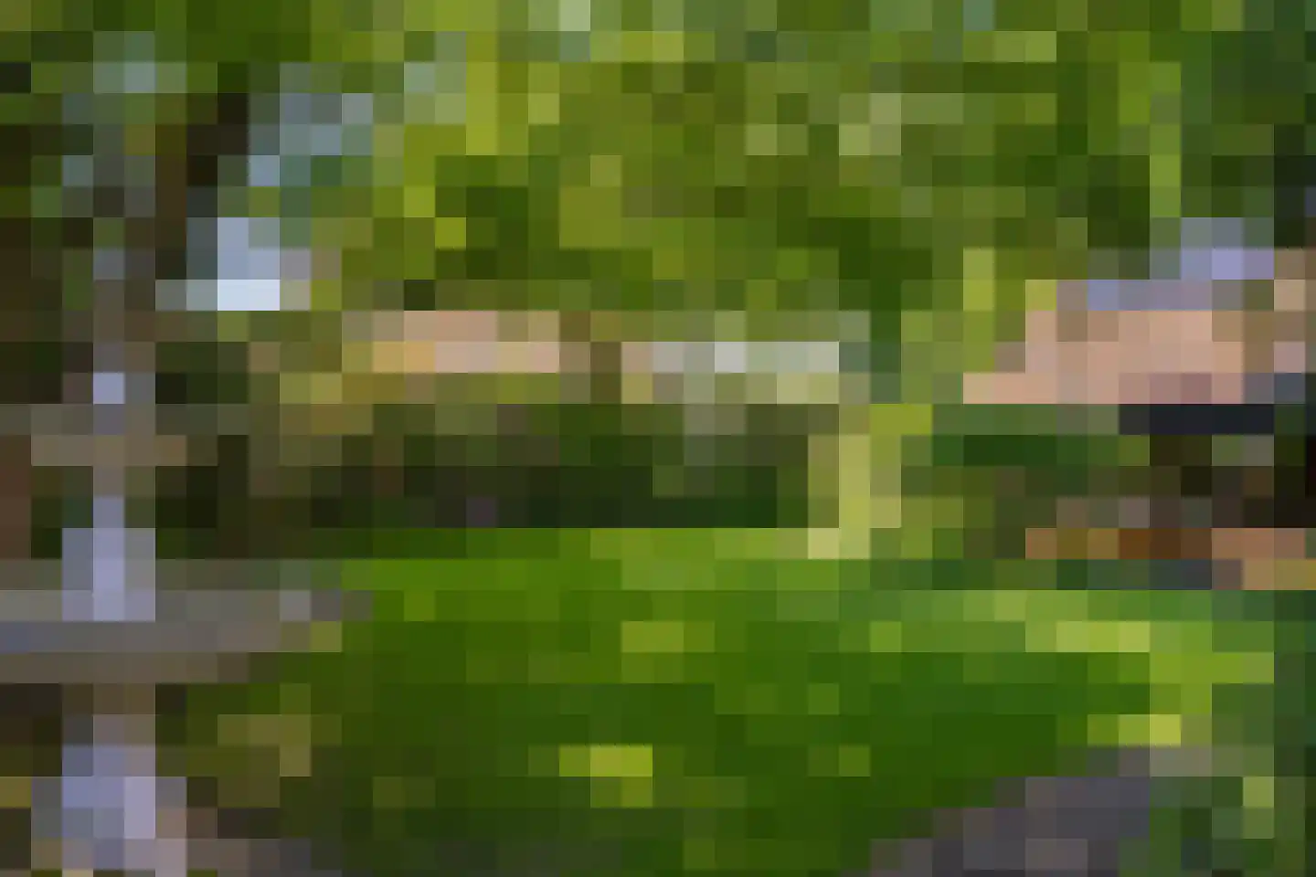 Karel Gerardstraat 5 Hengelo thumbnail 37