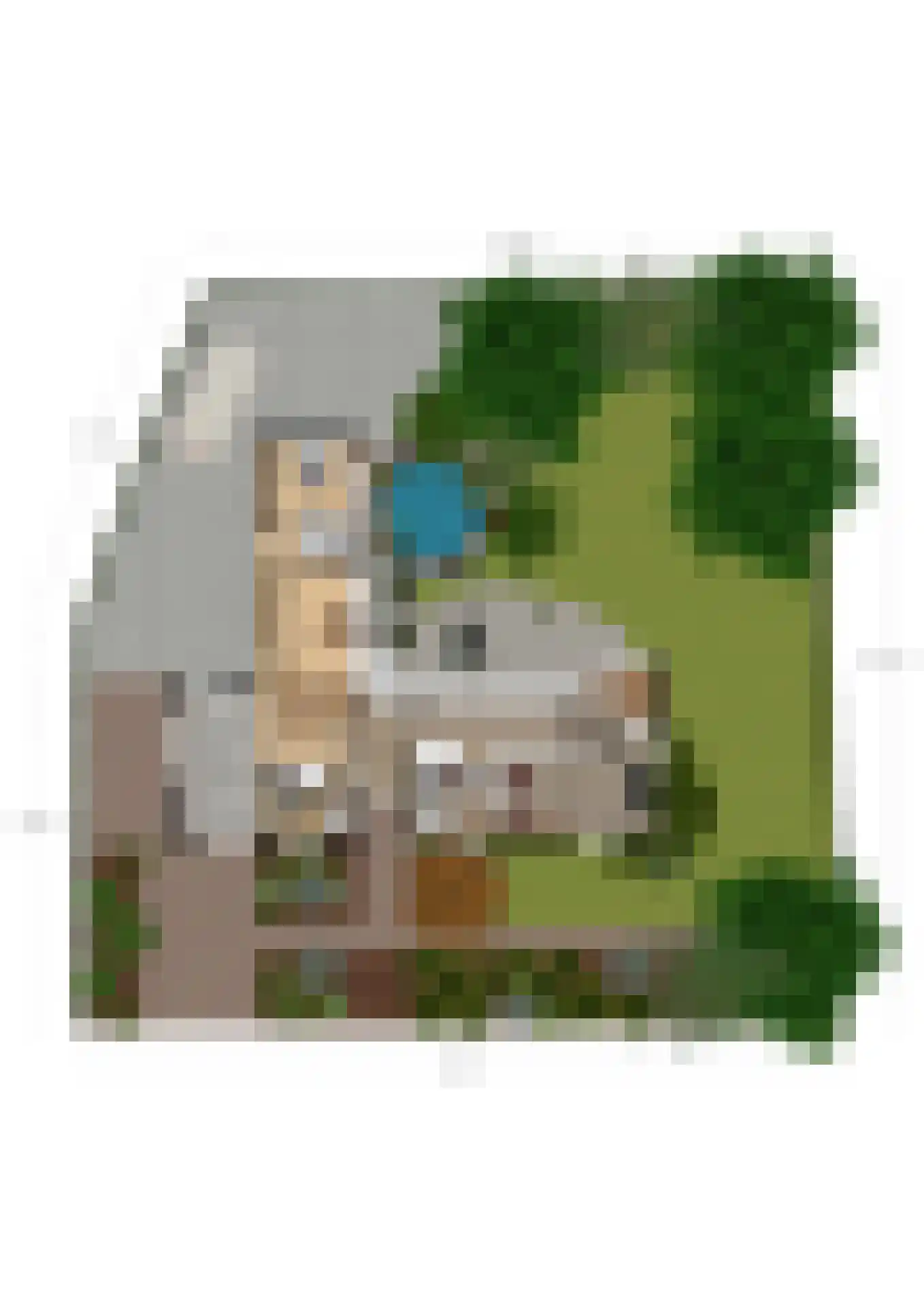 Karel Gerardstraat 5 Hengelo thumbnail 56