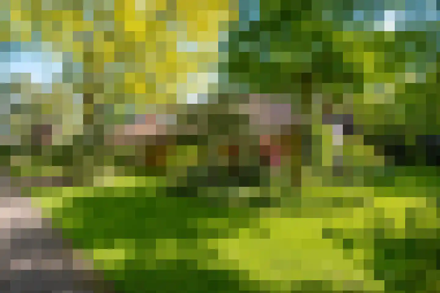Karel Gerardstraat 5 Hengelo thumbnail 6