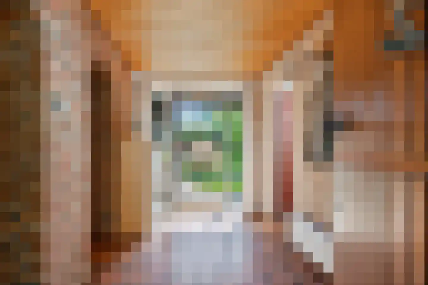 Karel Gerardstraat 5 Hengelo thumbnail 9