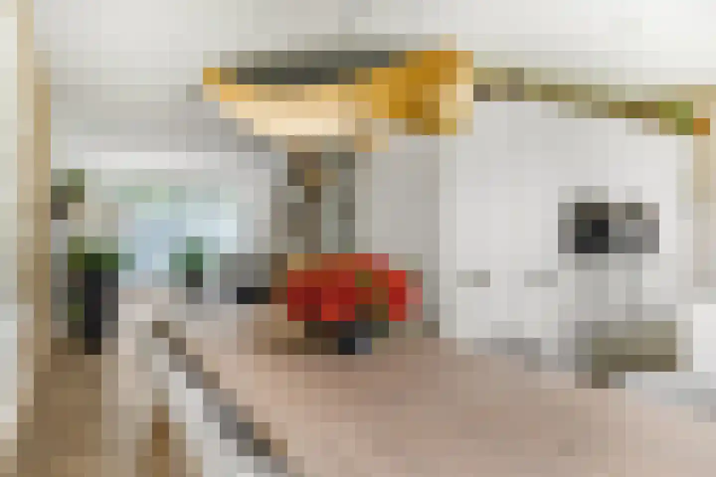Karel Glastra van Loonstraat 14 Nijmegen thumbnail 14