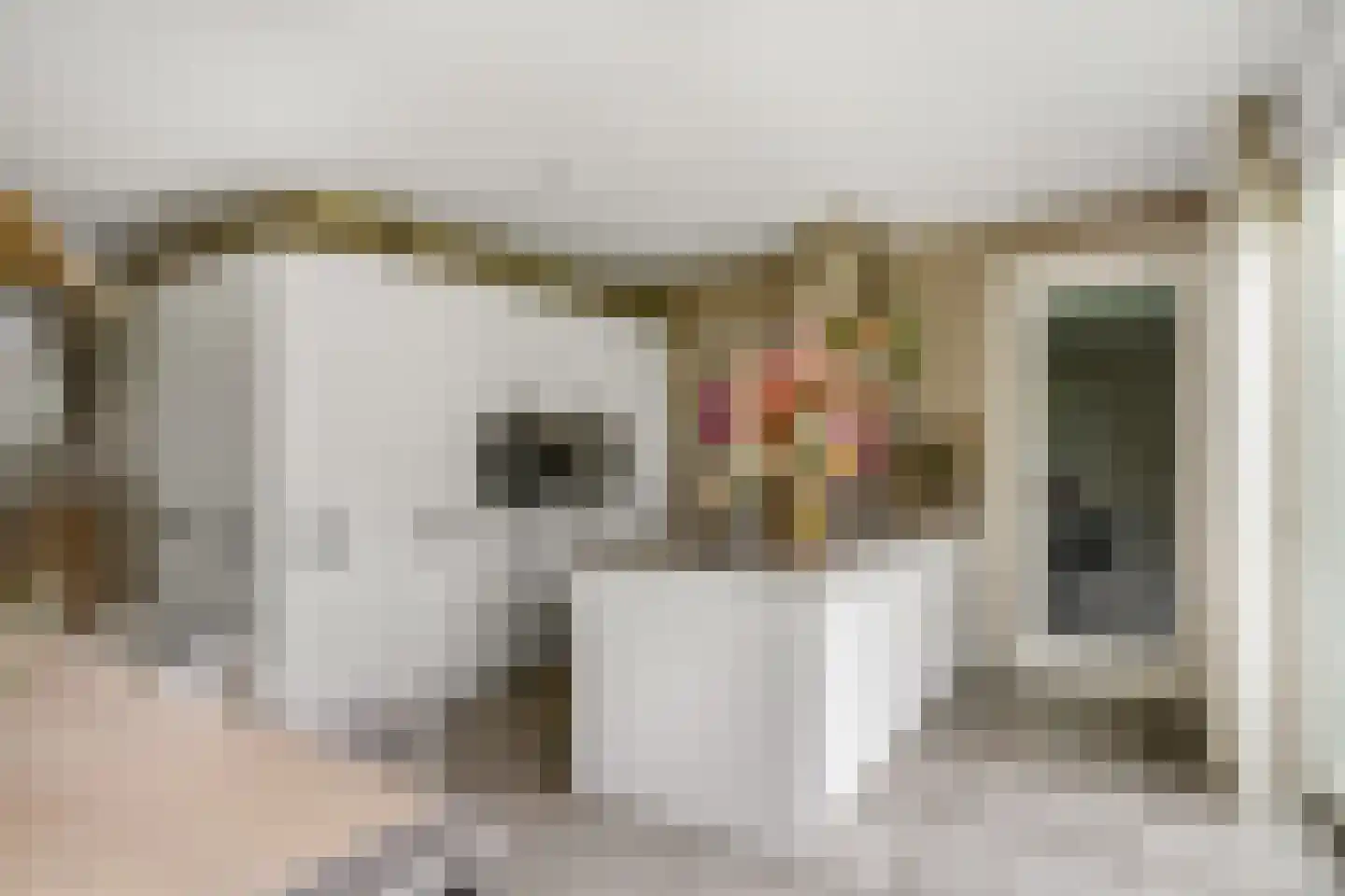 Karel Glastra van Loonstraat 14 Nijmegen thumbnail 15